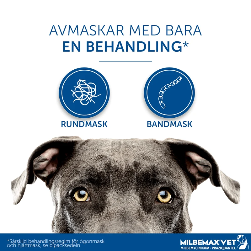 Milbemax vet. tuggtablett för hund (över 5 kg) 12,5 mg/125 mg 2 st Milbemax
