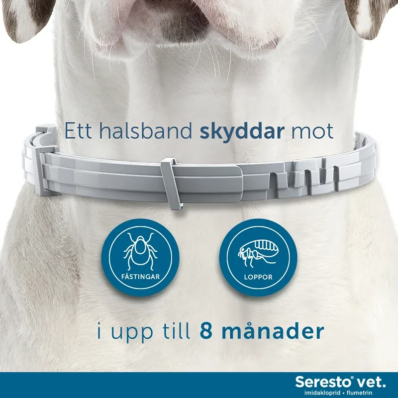 Seresto vet. halsband för hund över 8 kg Seresto