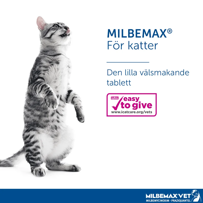 Milbemax vet. för katter tablett 4 st Milbemax