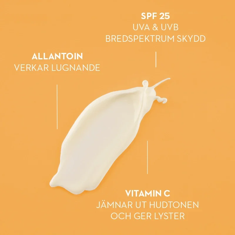 L300 Vitamin C Protecting Day Cream SPF 25, 50 ml L300