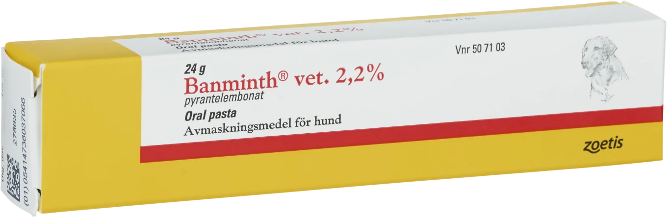 Banminth vet. Oral pasta i tub 2,2% för hund 24g Banminth