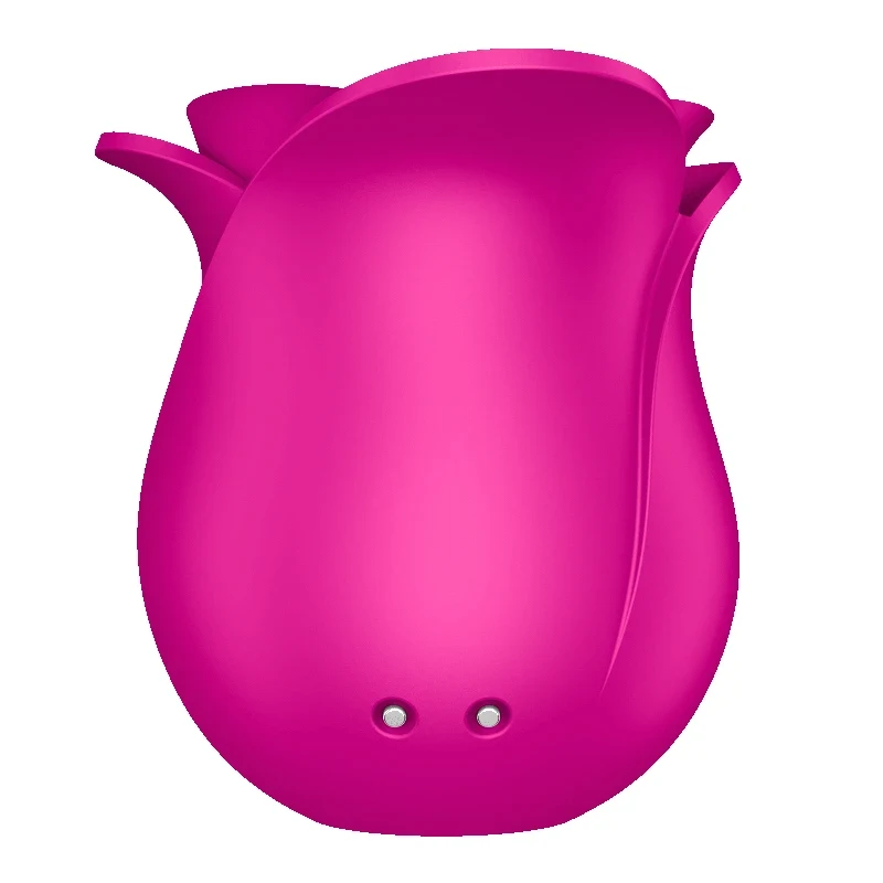 Satisfyer Pro 2 Modern Blossom Lufttrycksvibrator Satisfyer