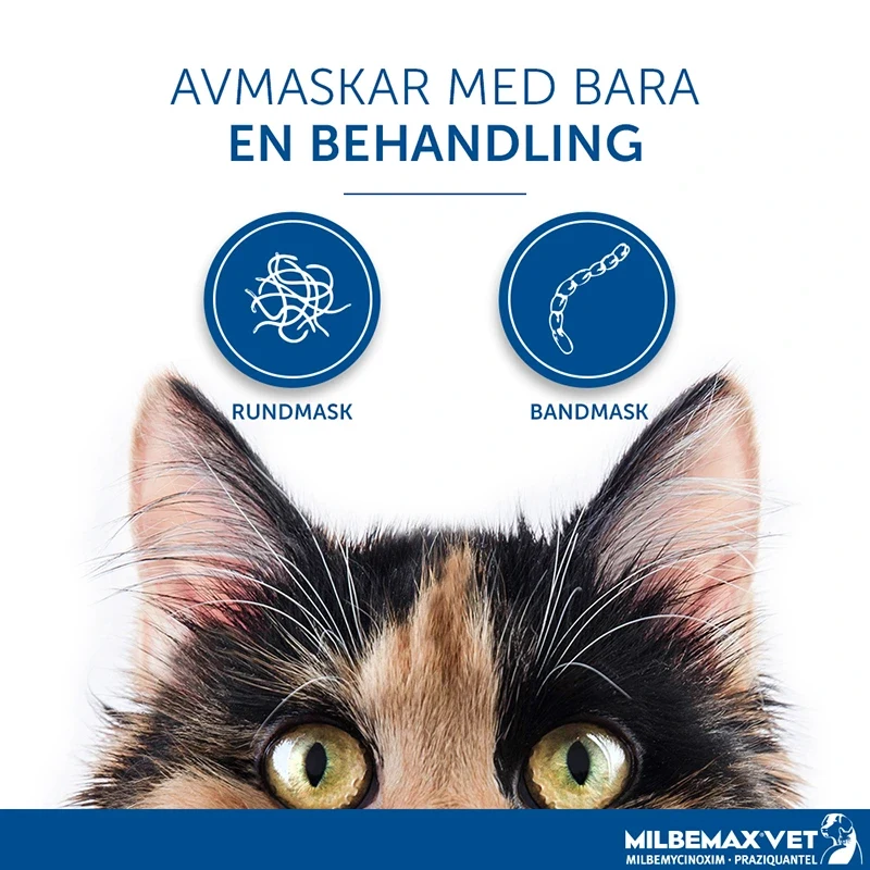Milbemax vet. för små katter och kattungar tablett 2 st Milbemax