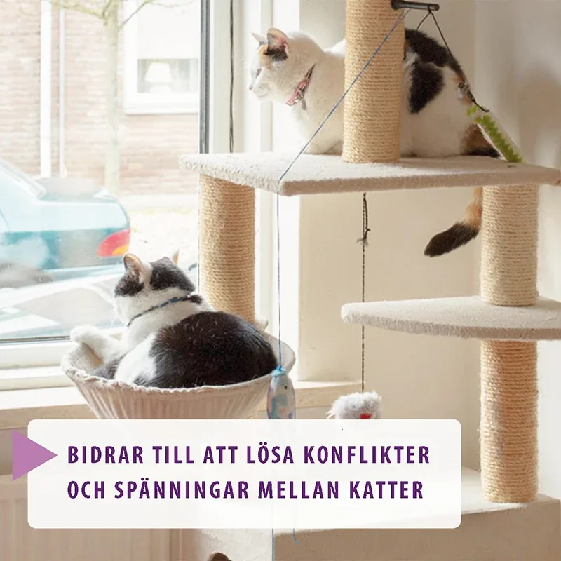 Feliway Friends Doftavgivare med Refill för katt Feliway