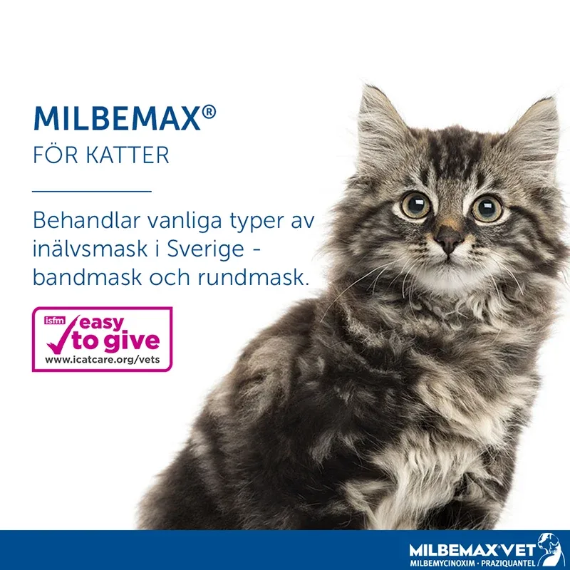 Milbemax vet. för små katter och kattungar tablett 2 st Milbemax