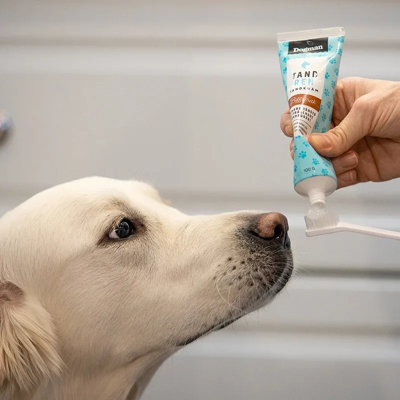 Dogman Tandkräm Biff 100 g Dogman