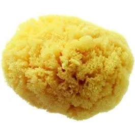 Hydrea London Grass Sea Sponge Caribbean 4,0W Hydrea London