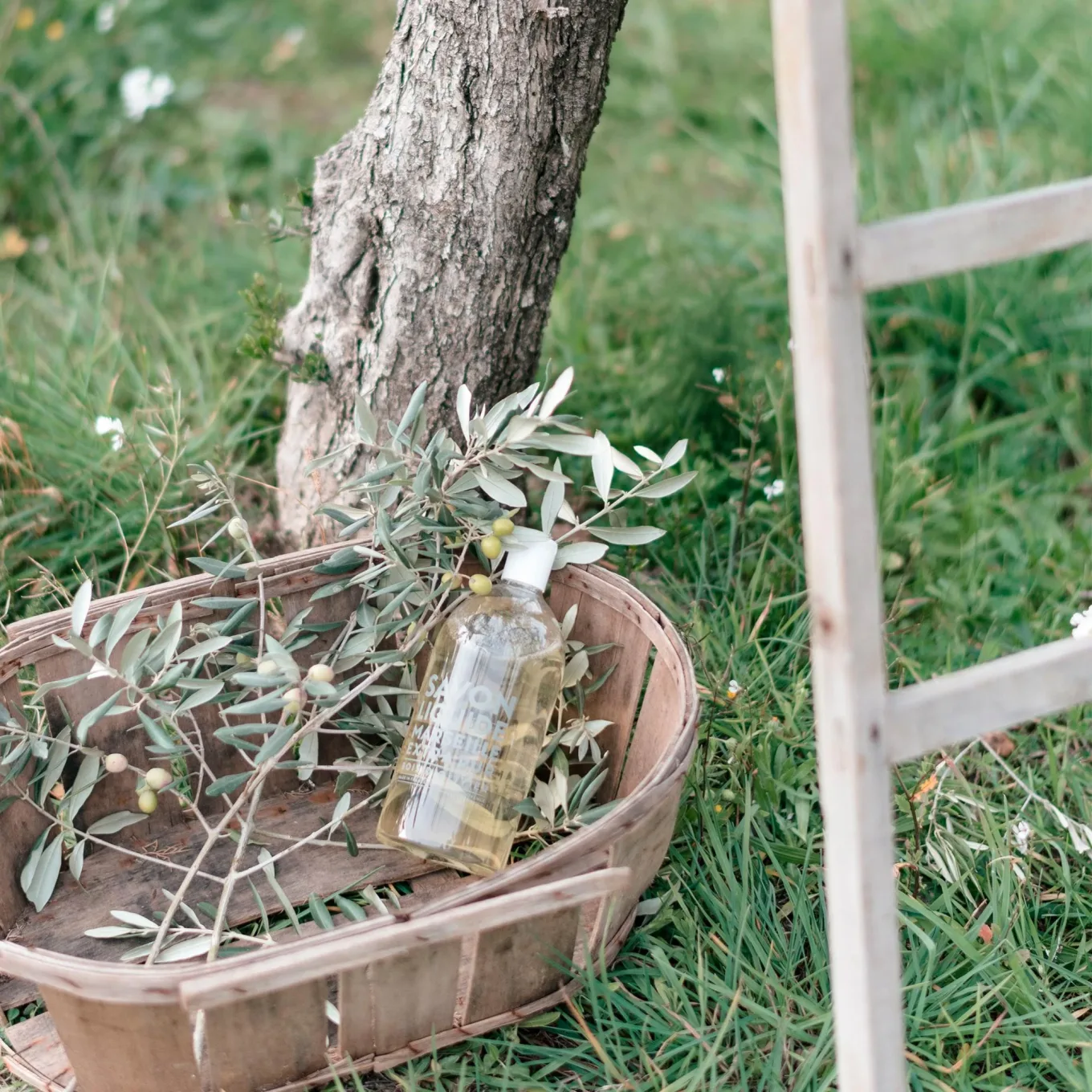 Compagnie de Provence Liquid Marseille Soap Refill Olive Wood 1 l Compagnie de Provence