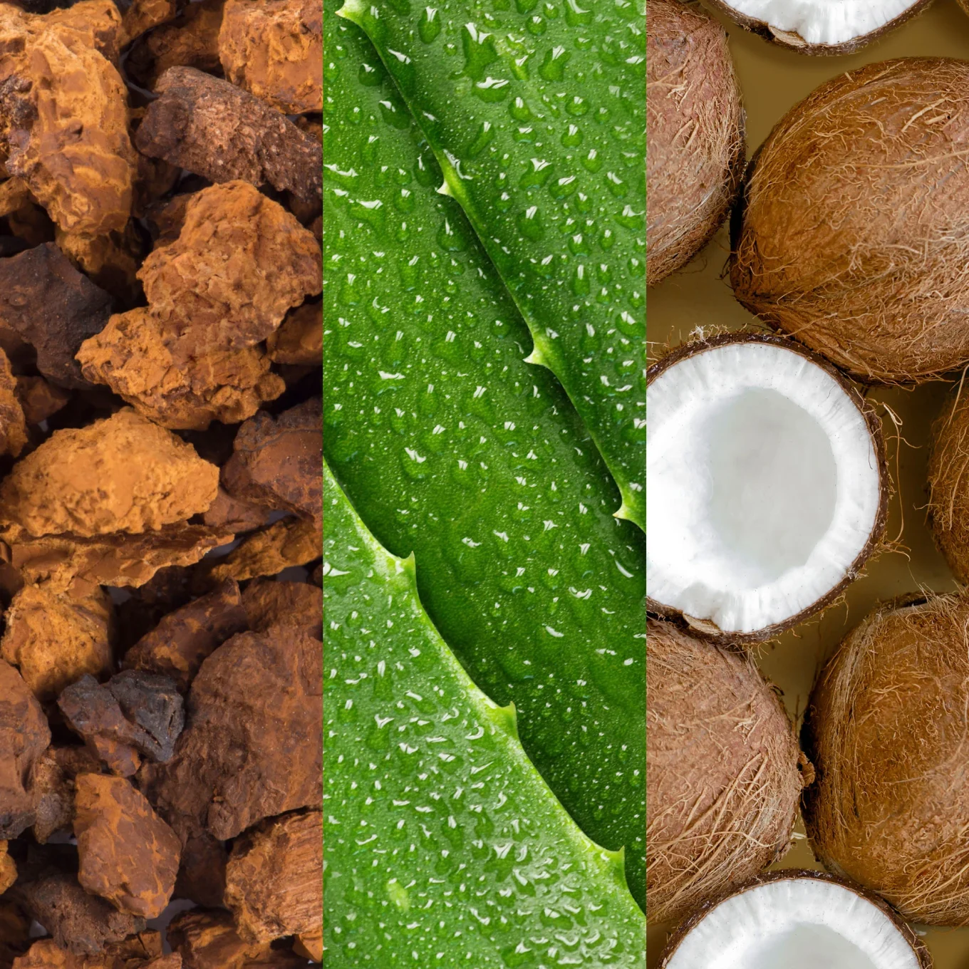 Mario Badescu Facial Spray With Aloe Adaptogens & Coconut Water 59 ml Mario Badescu