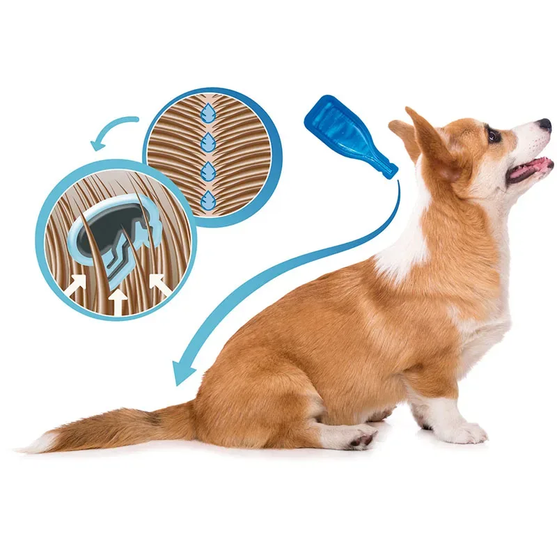 Beaphar Dimethicare Line-on Katt 3x1ml Beaphar