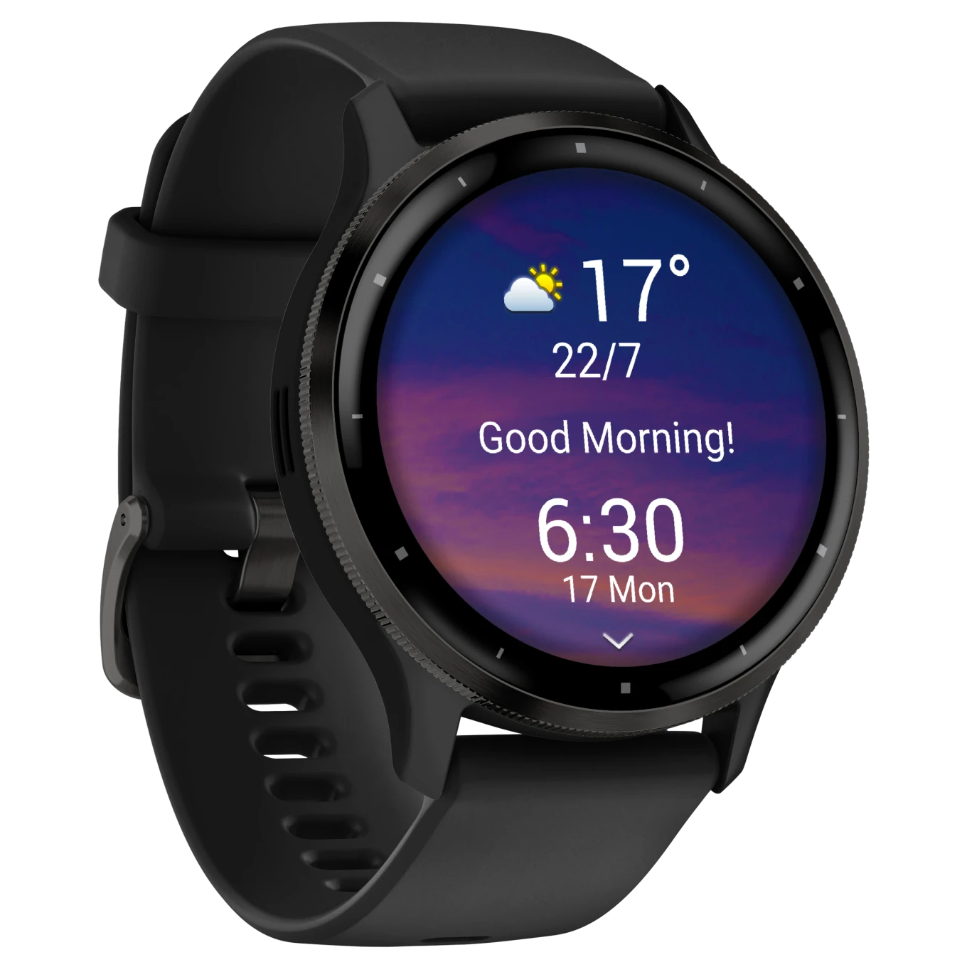 Garmin Venu 3 Smartwatch Black/Slate Garmin