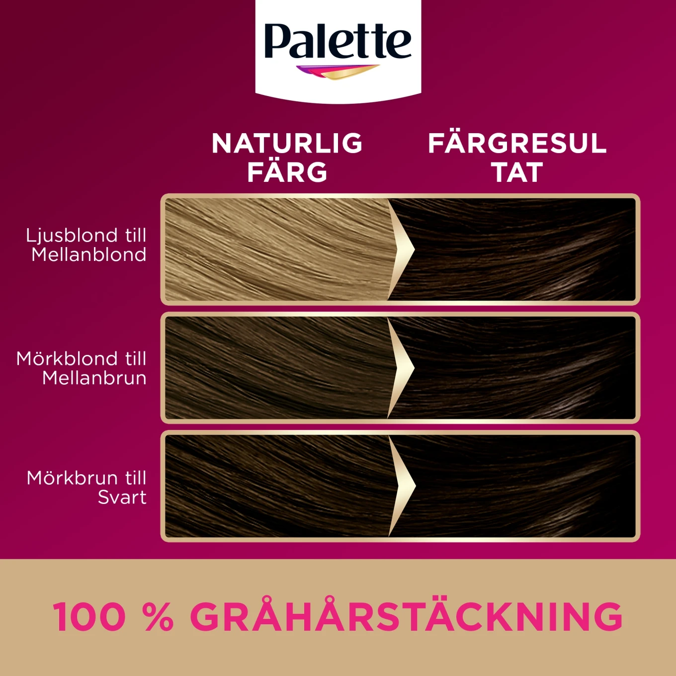 Palette Intensive Creme Coloration 3-0 Mörkbrun Palette