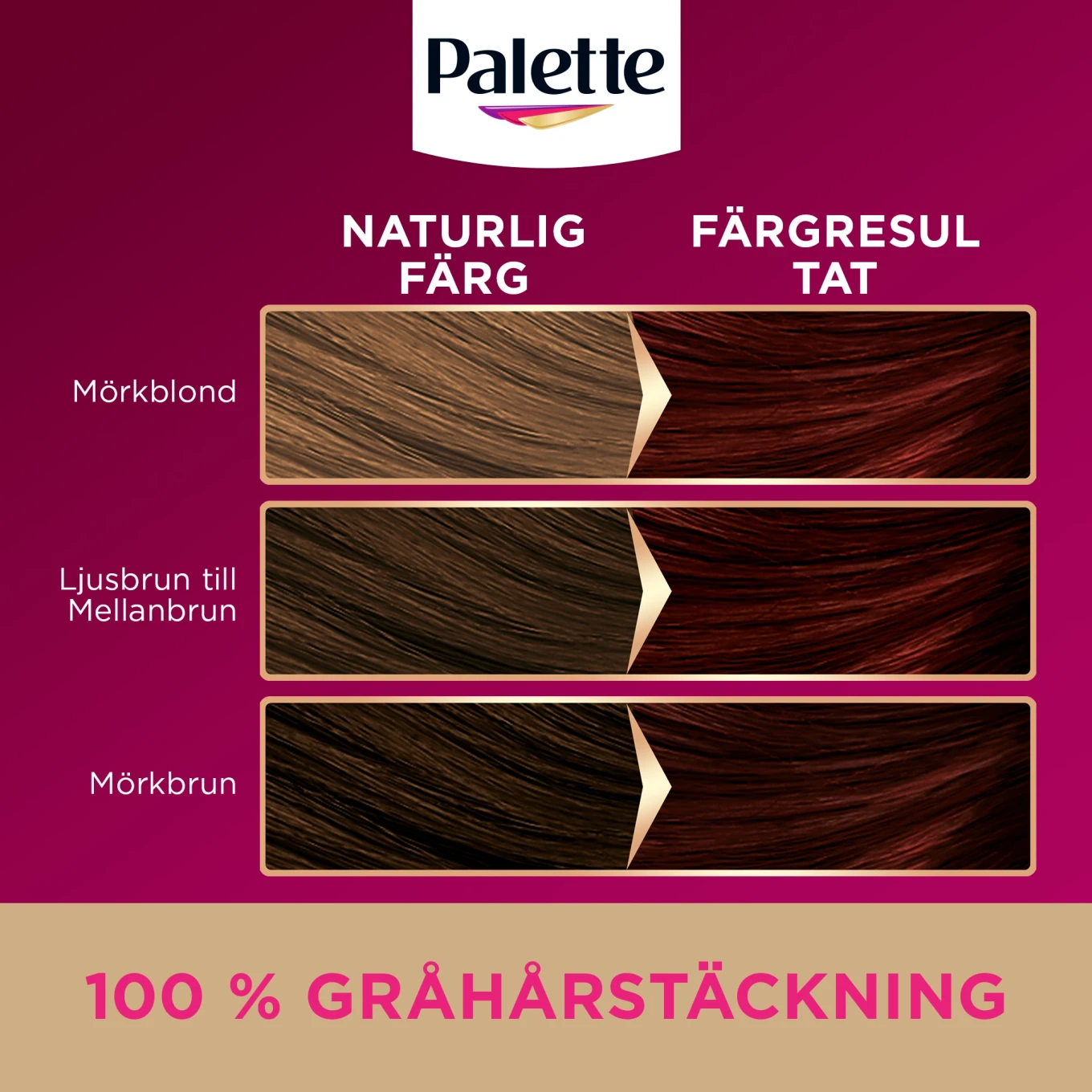 Palette Intensive Creme Coloration 4-6 Moccabrun Palette