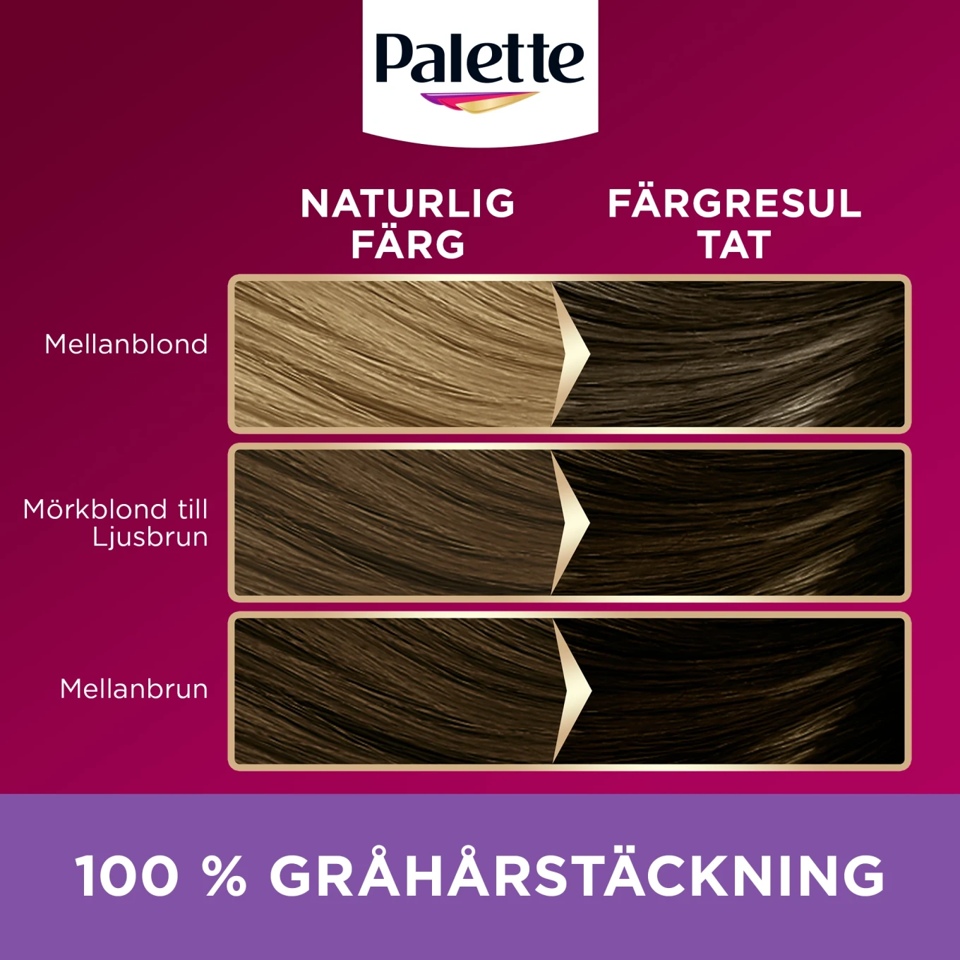 Palette Intensive Creme Coloration 5-11 Ljus Askbrun Palette
