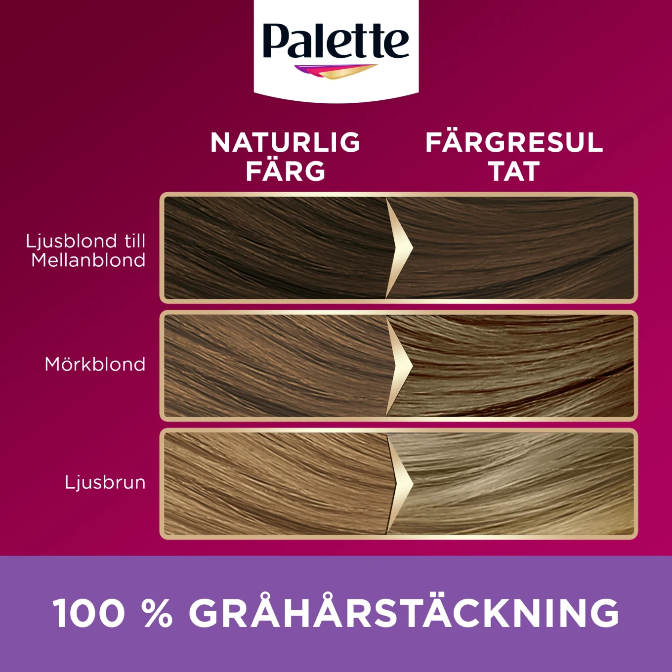 Palette Intensive Creme Coloration 8-1 Mättad Mellanblond Palette