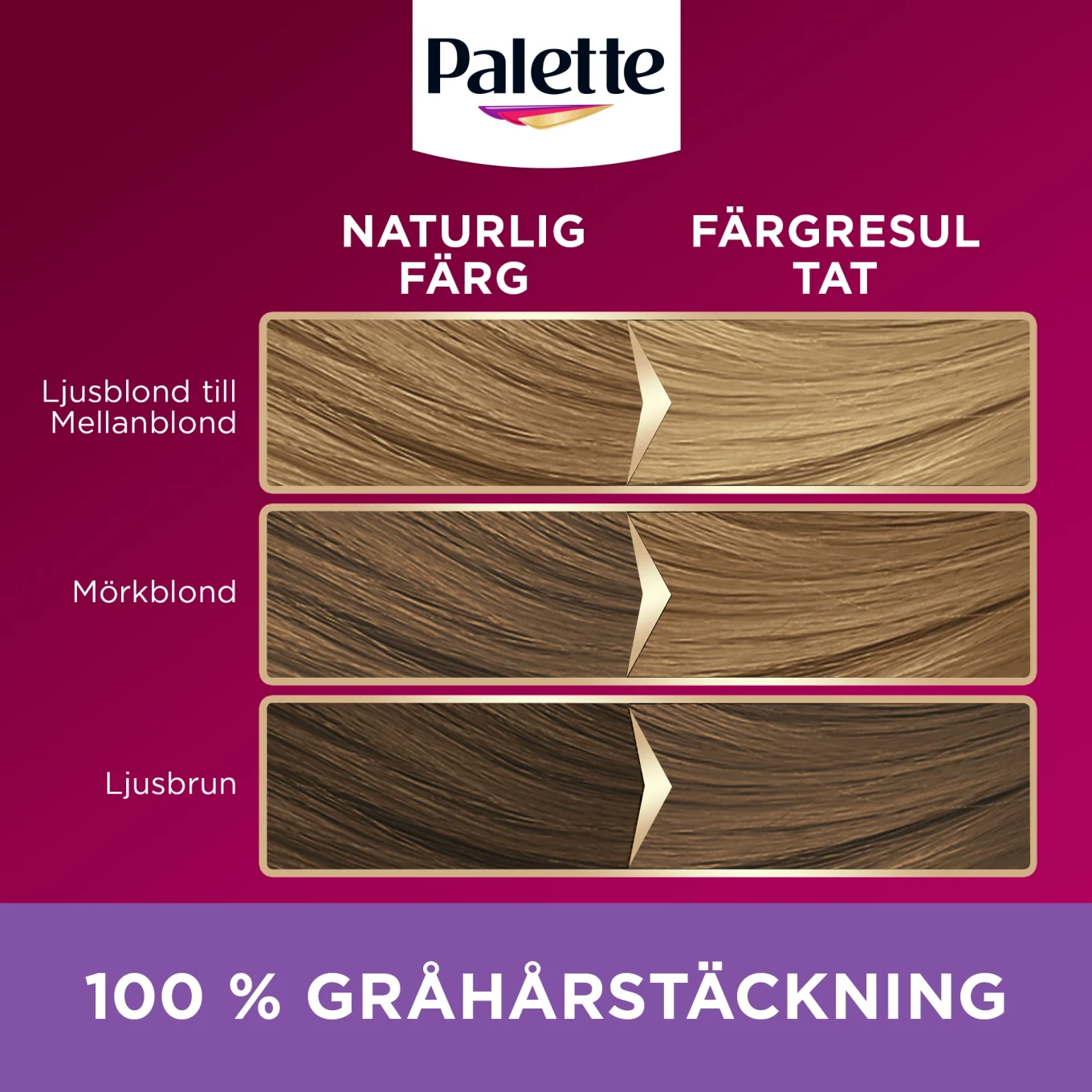 Palette Intensive Creme Coloration 8-16 Ljus Askblond Palette