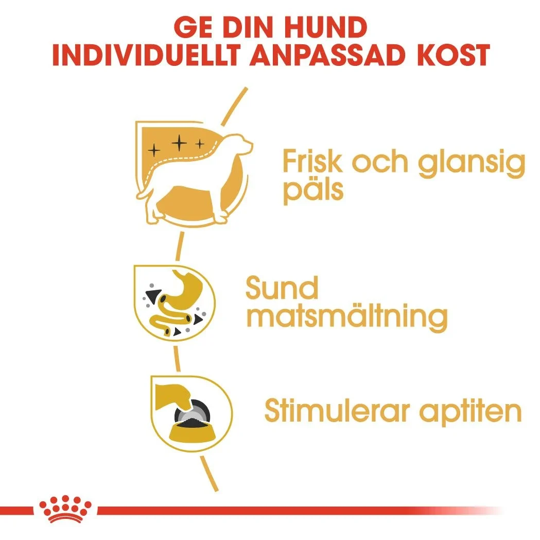 Royal Canin Digestive Care Loaf Dog Våtfoder 12x85 g Royal Canin