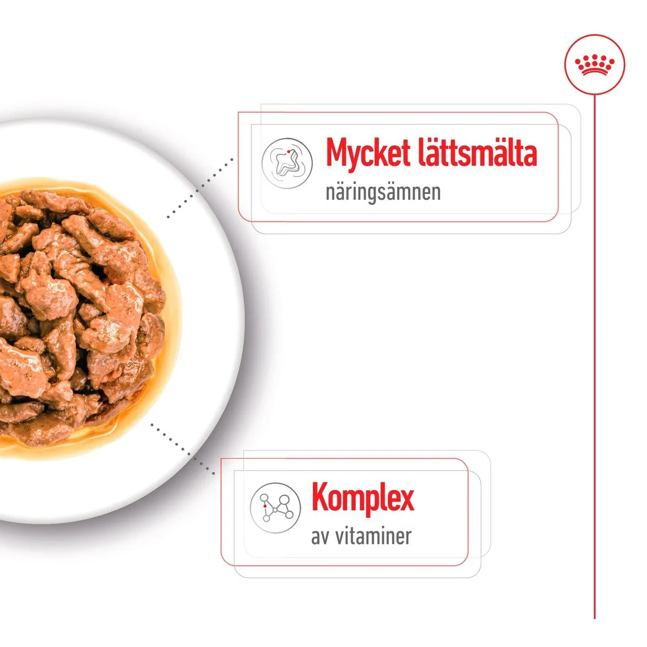 Royal Canin Mini Adult Gravy Dog 12x85 g Royal Canin