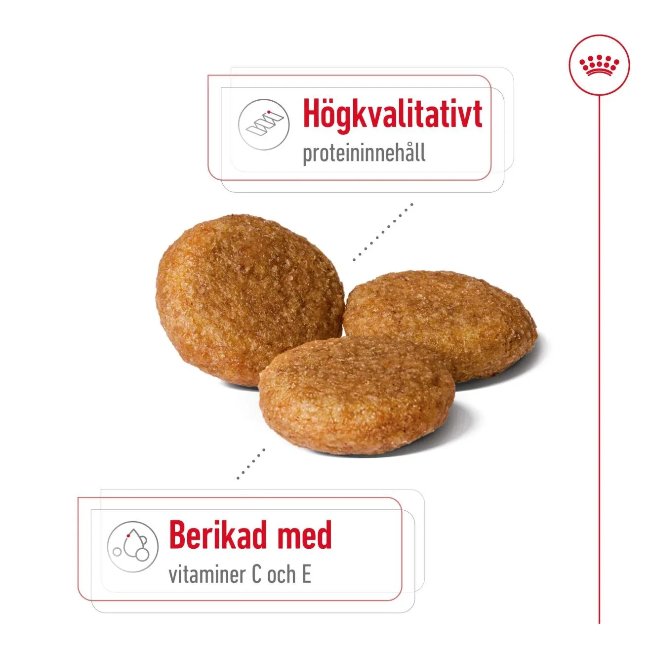 Royal Canin Medium Adult Dog  4 kg Royal Canin