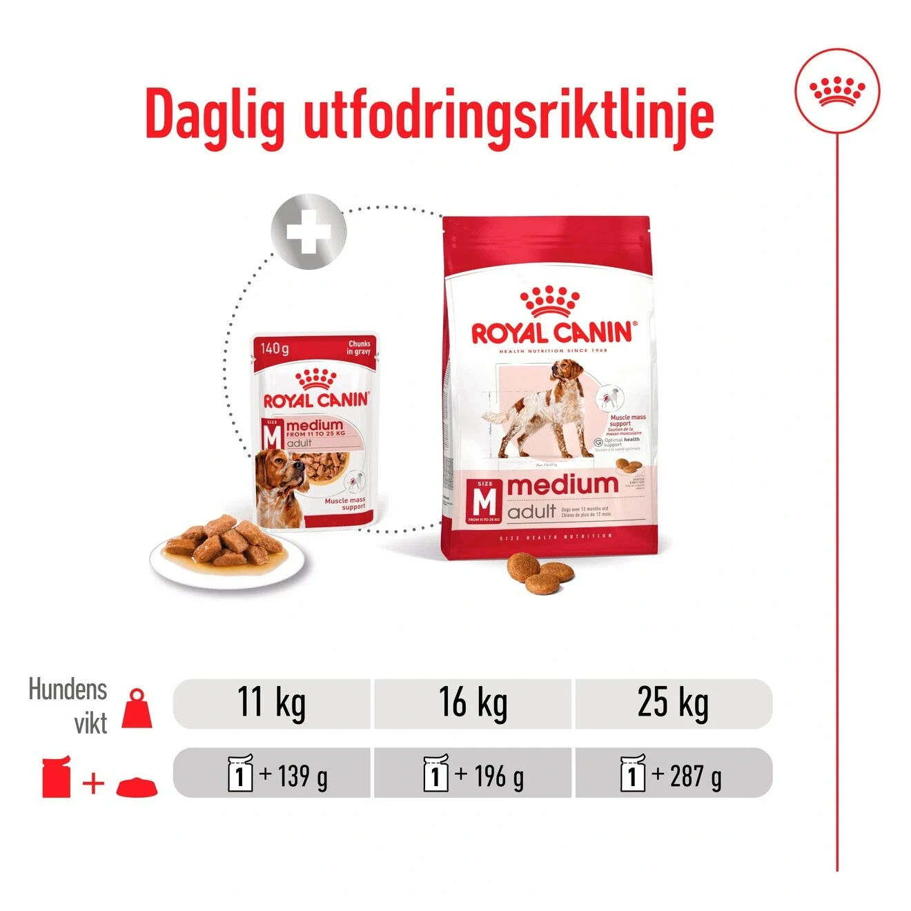 Royal Canin Medium Adult Gravy Dog 10x140 g Royal Canin