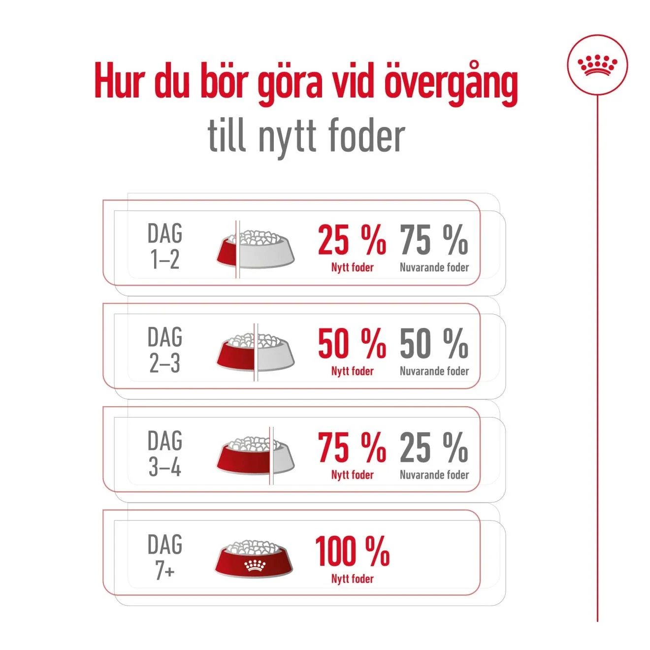 Royal Canin Mini Ageing 12+ Dog 3.5 kg Royal Canin
