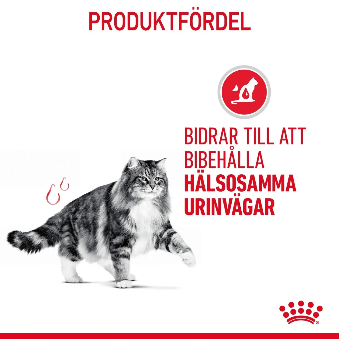 Royal Canin Urinary Care Cat 2 kg Royal Canin