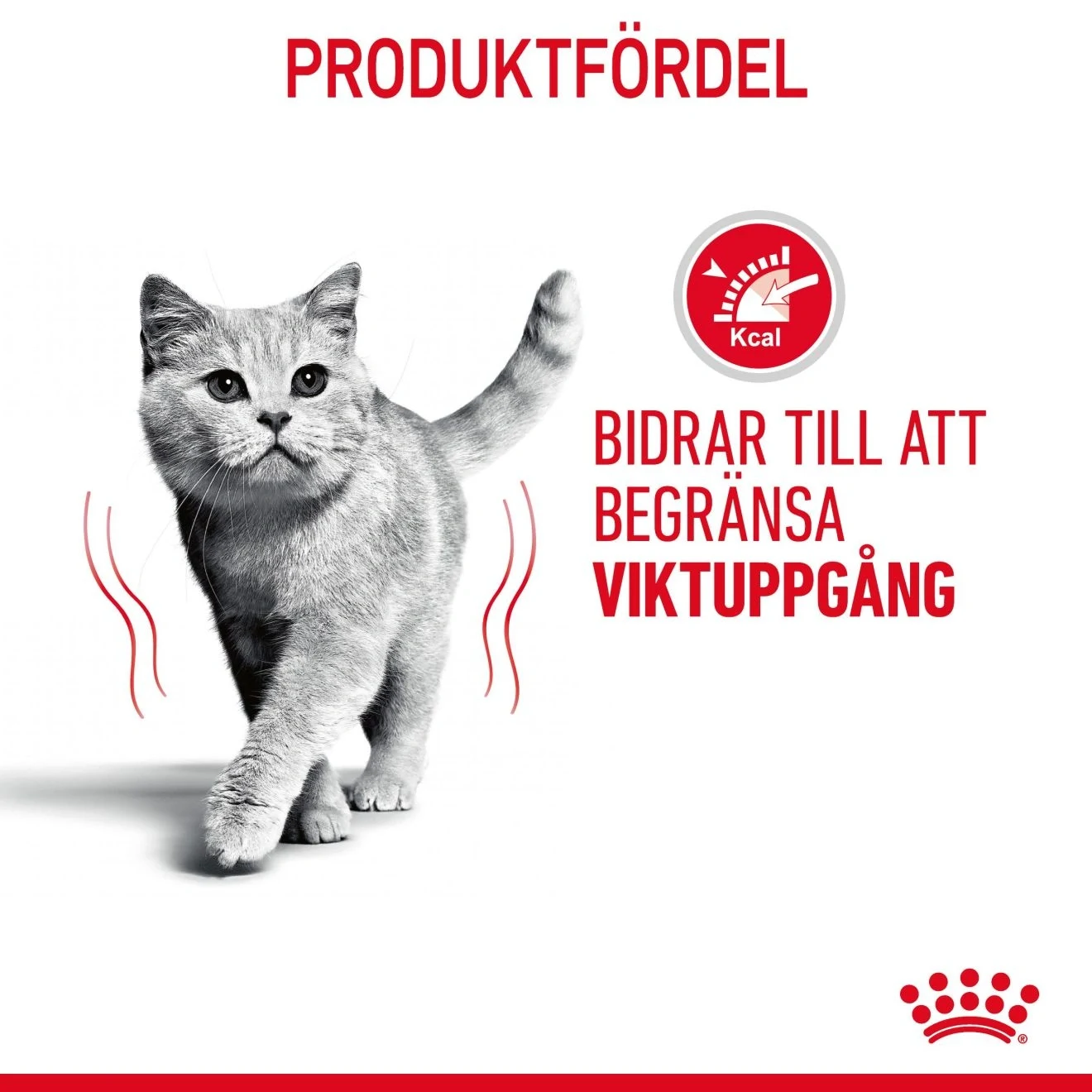 Royal Canin Light Weight Gravy Cat 12x85 g Royal Canin