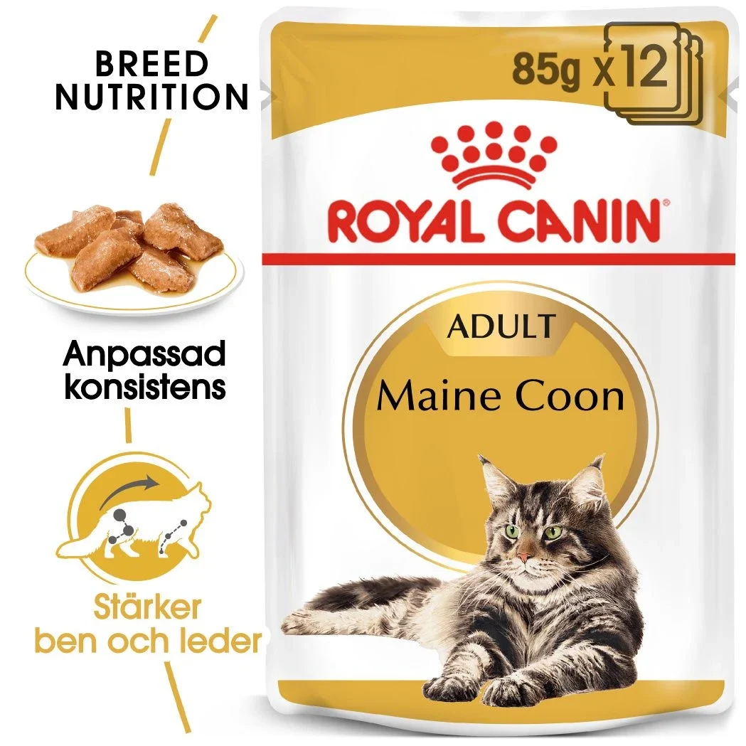 Royal Canin Maine Coon Adult Gravy 12x85 g Royal Canin
