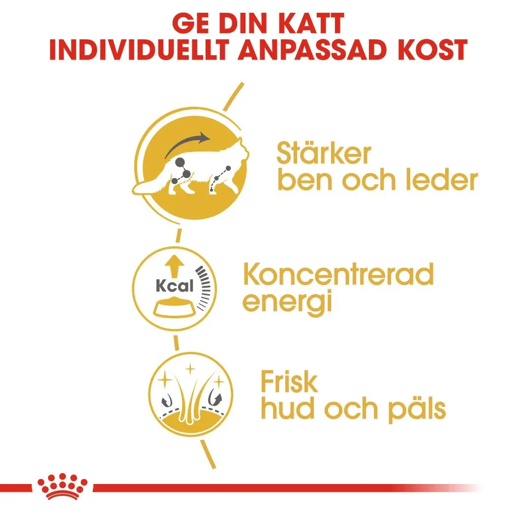 Royal Canin Maine Coon Adult Gravy 12x85 g Royal Canin