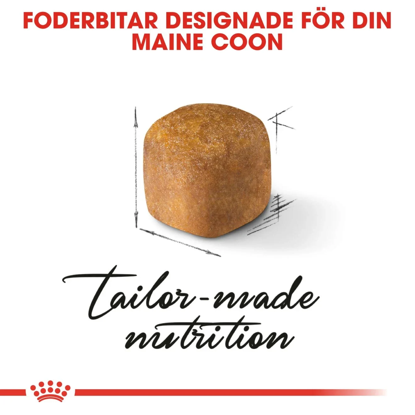 Royal Canin Maine Coon Kitten 2 kg Royal Canin