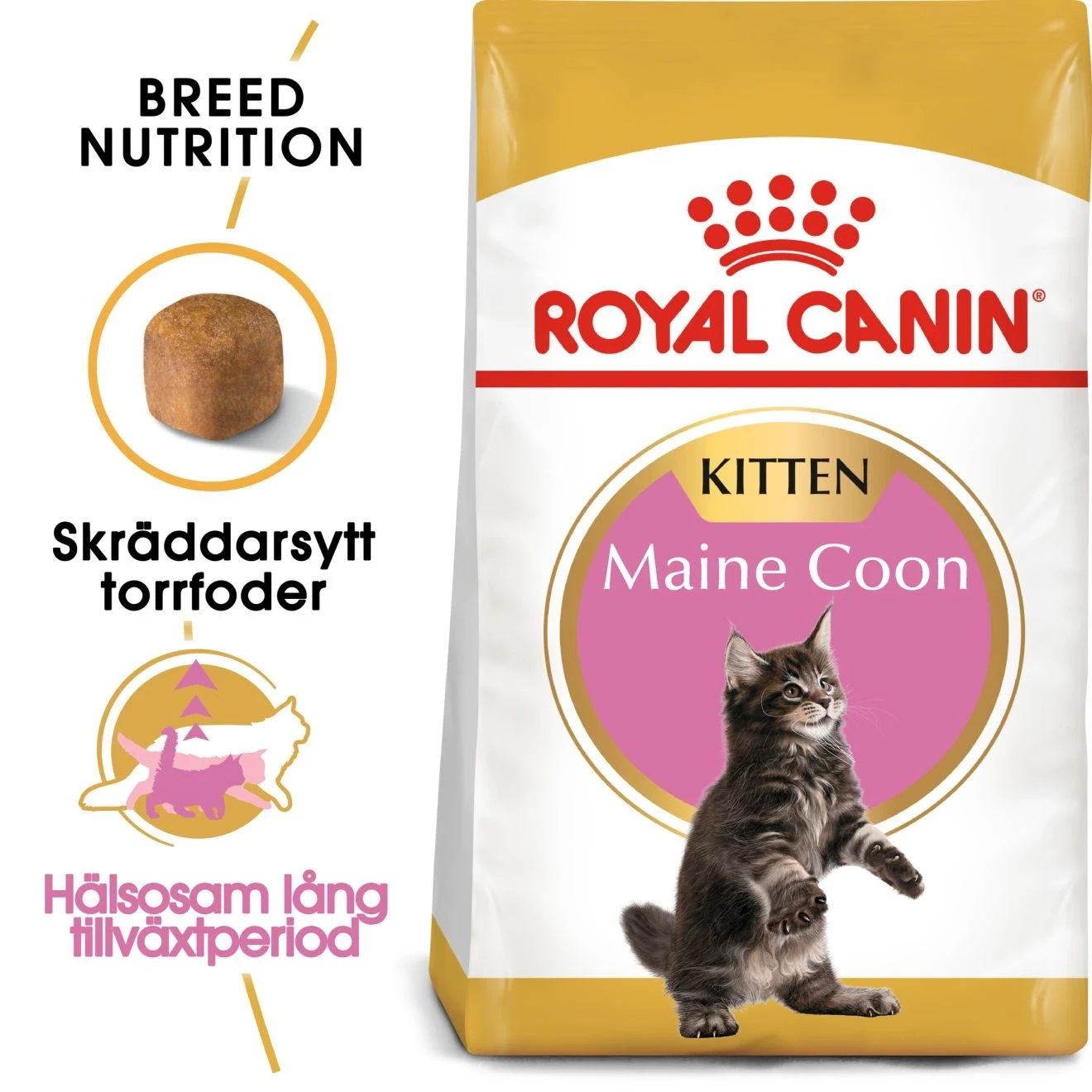 Royal Canin Maine Coon Kitten 2 kg Royal Canin