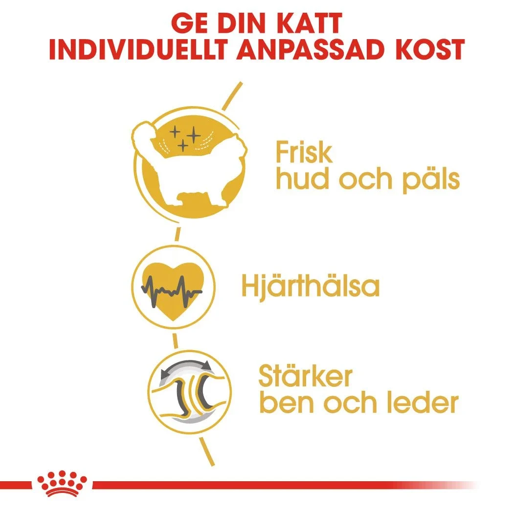 Royal Canin Ragdoll Adult  2 kg Royal Canin