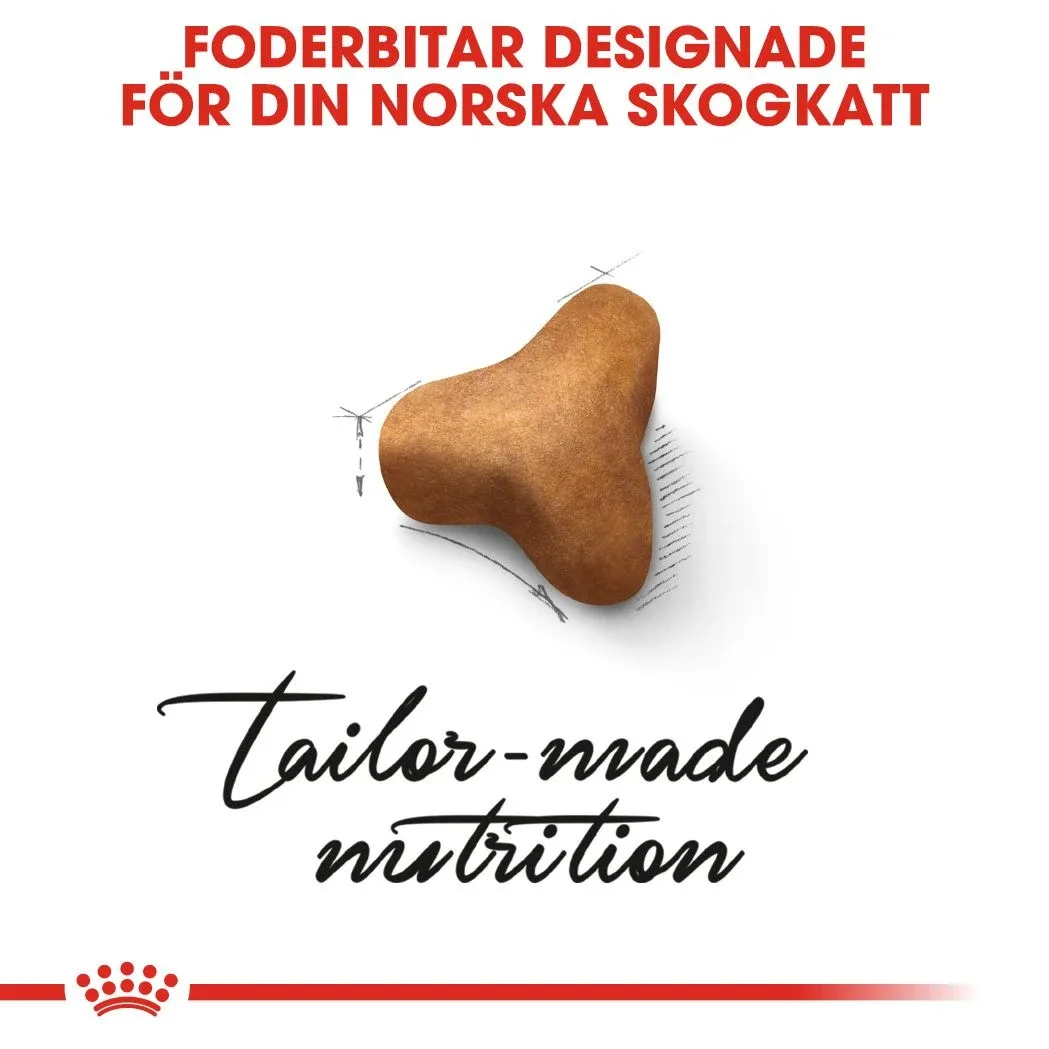 Royal Canin Norwegian Forest Cat Adult  2 kg Royal Canin