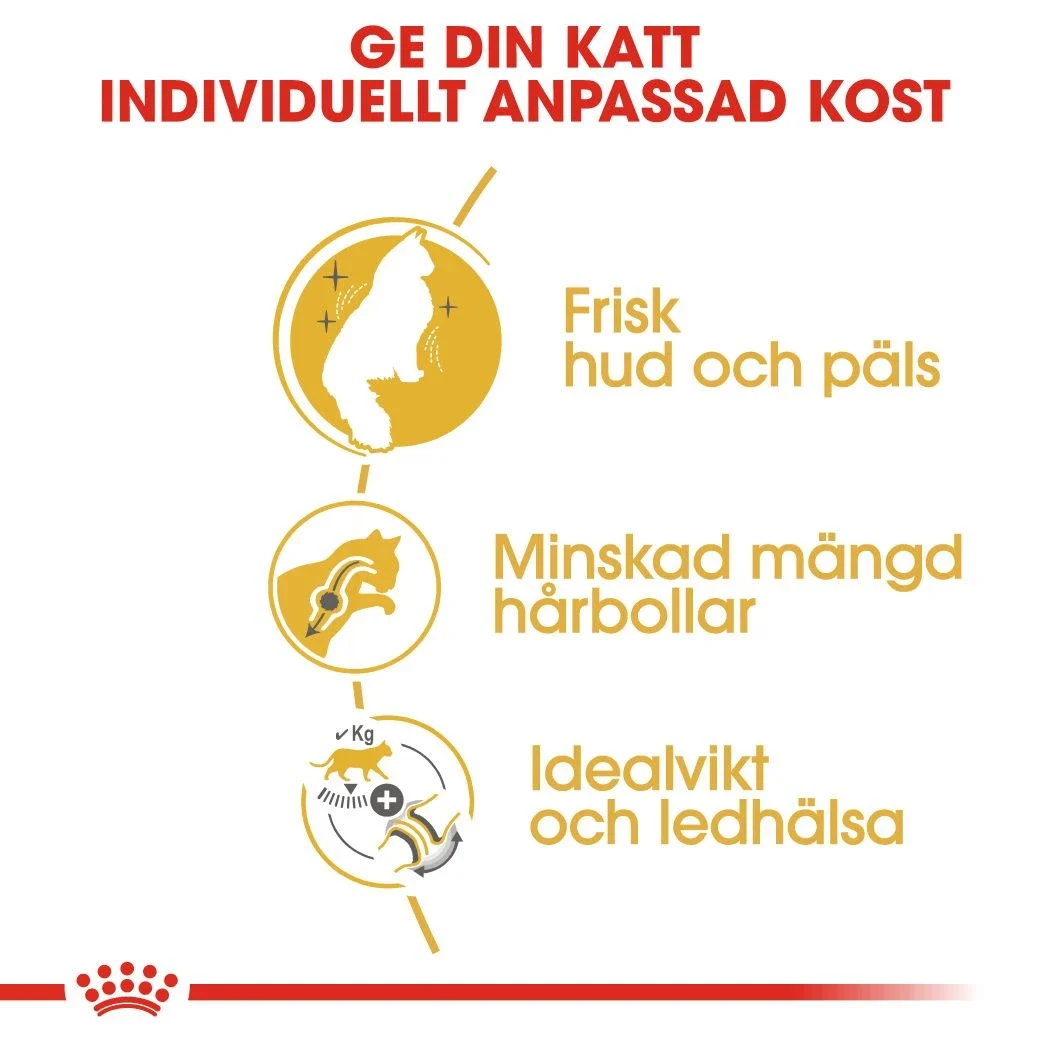 Royal Canin Norwegian Forest Cat Adult  2 kg Royal Canin