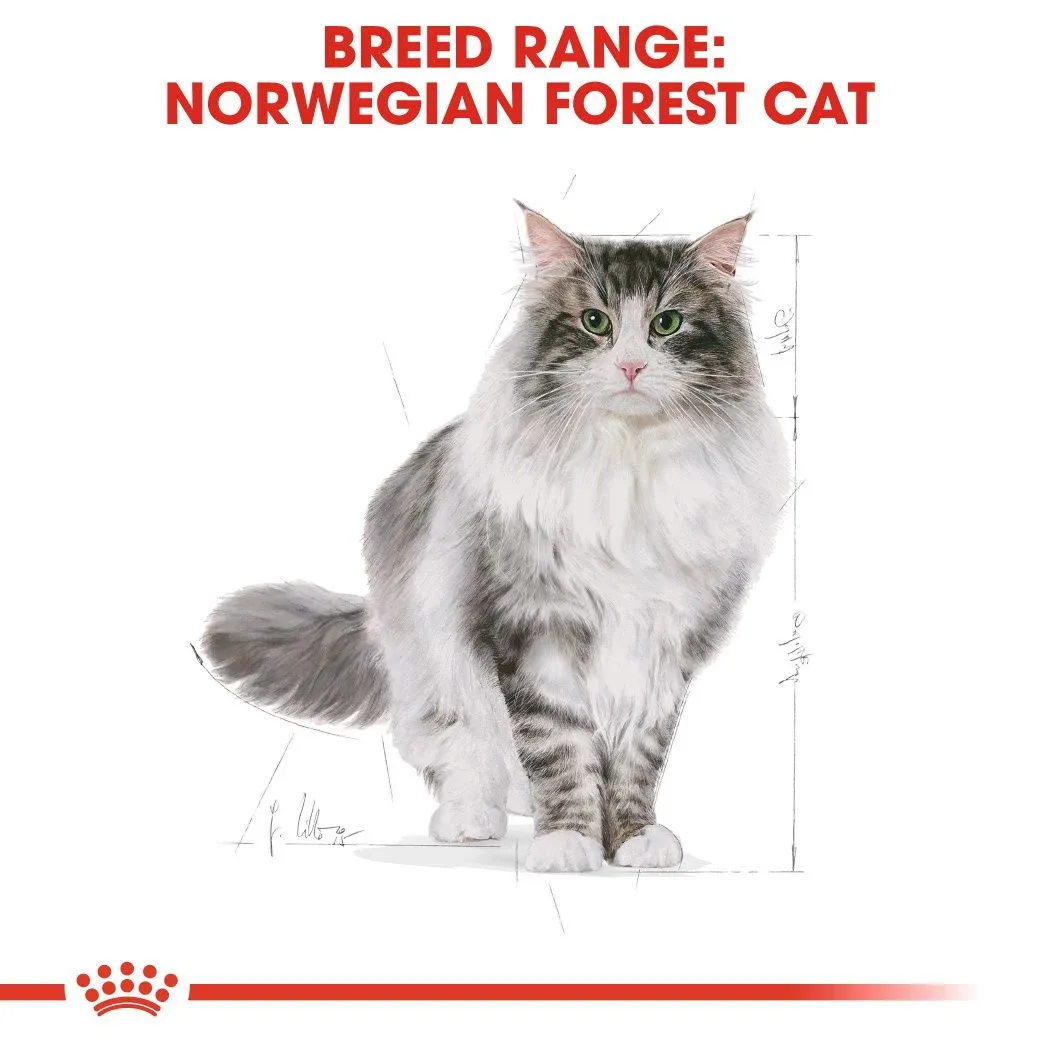 Royal Canin Norwegian Forest Cat Adult  2 kg Royal Canin