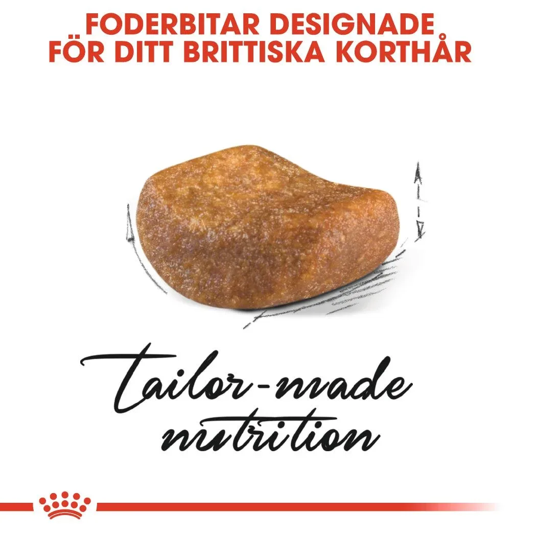 Royal Canin British Shorthair Adult 2 kg Royal Canin