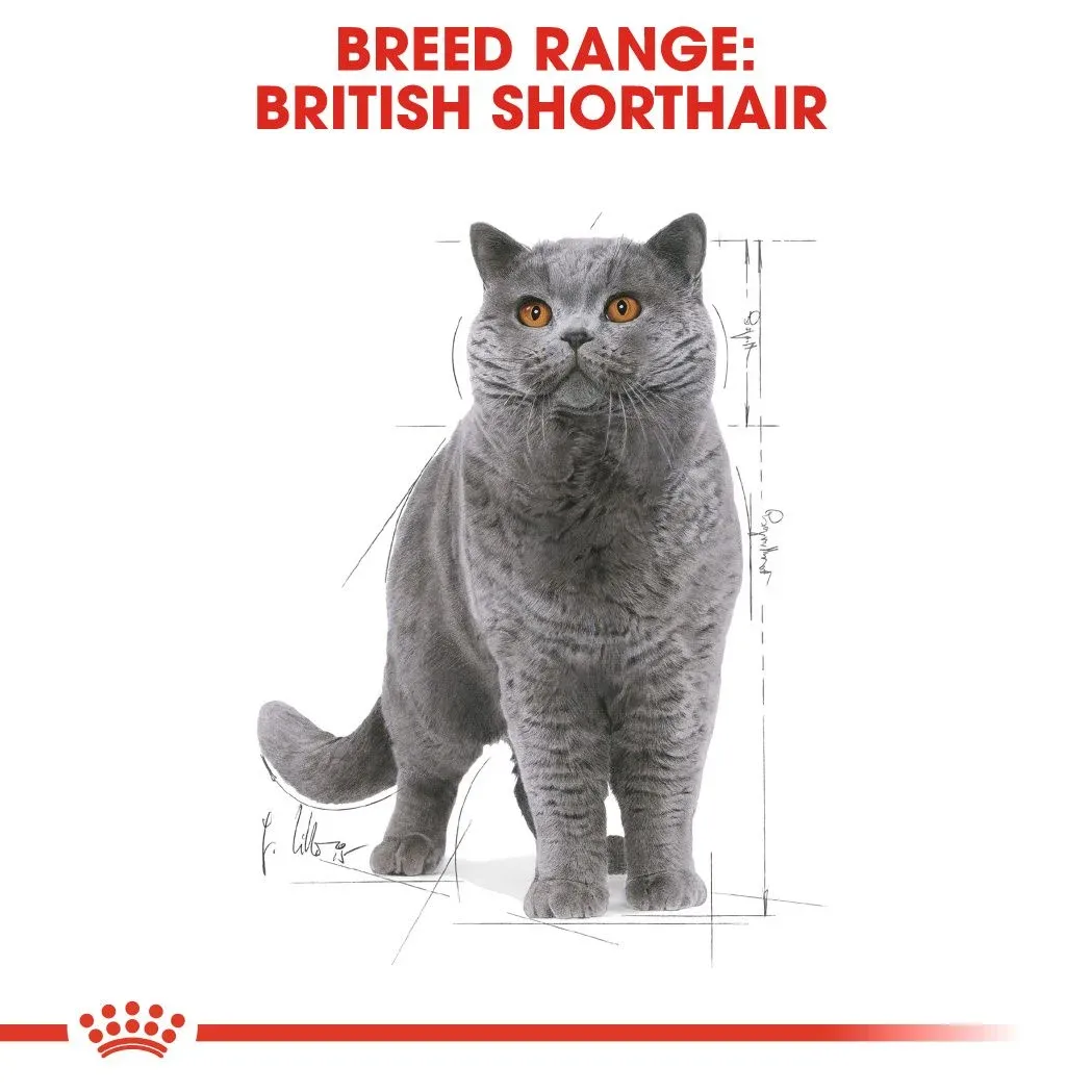 Royal Canin British Shorthair Gravy 12x85 g Royal Canin