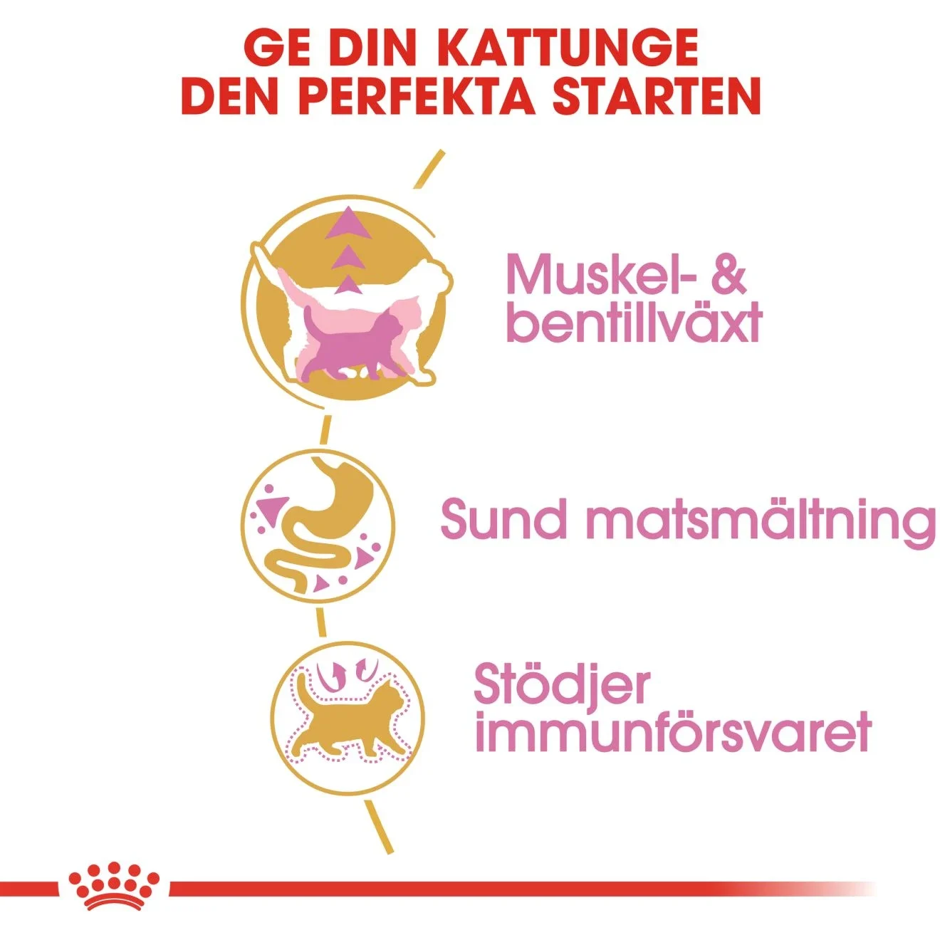 Royal Canin British Shorthair Kitten 2 kg Royal Canin