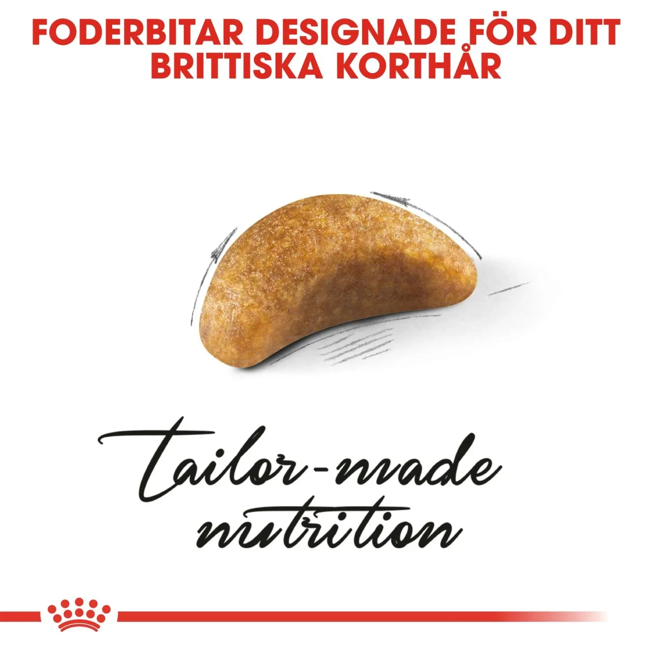 Royal Canin British Shorthair Kitten 2 kg Royal Canin