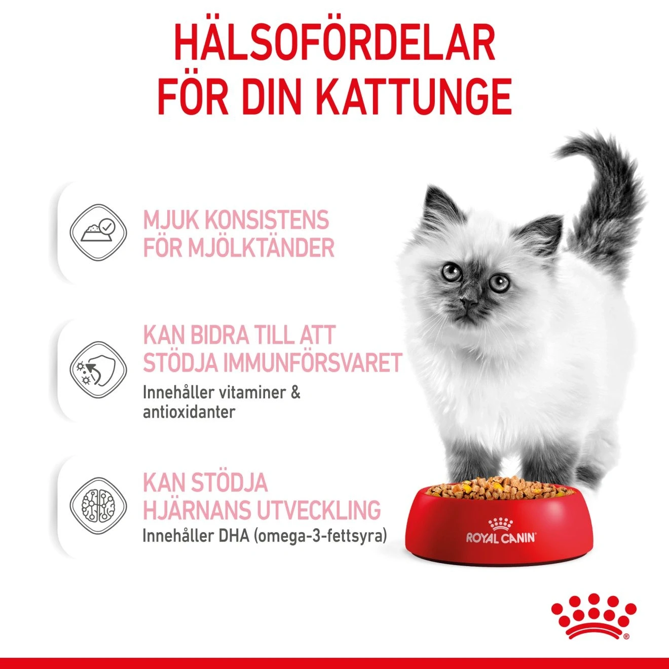 Royal Canin Kitten Jelly Våtfoder 12x85 g Royal Canin
