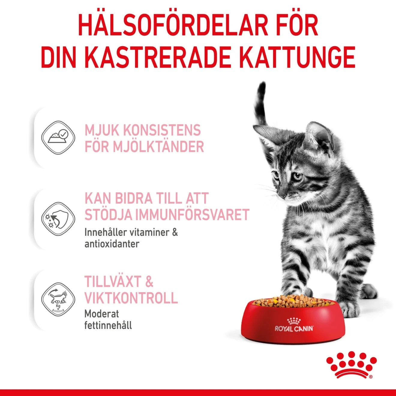 Royal Canin Kitten Sterilised Jelly Våtfoder 12x85 g Royal Canin