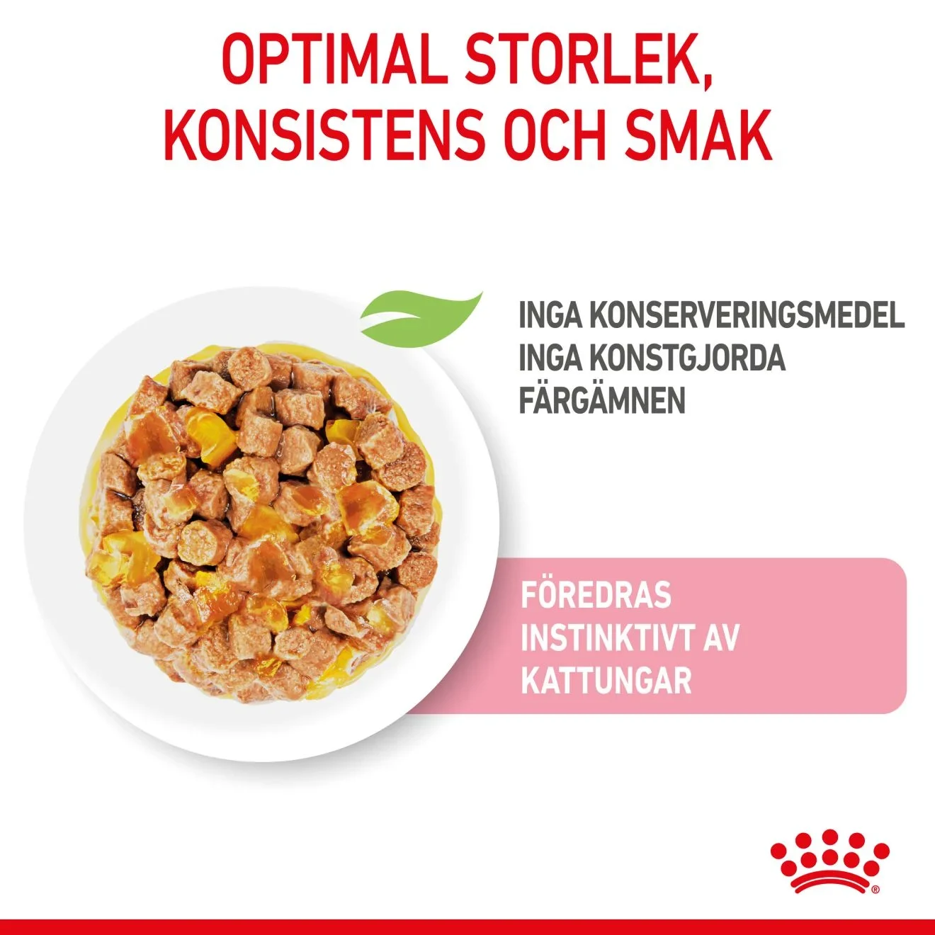Royal Canin Kitten Sterilised Jelly Våtfoder 12x85 g Royal Canin