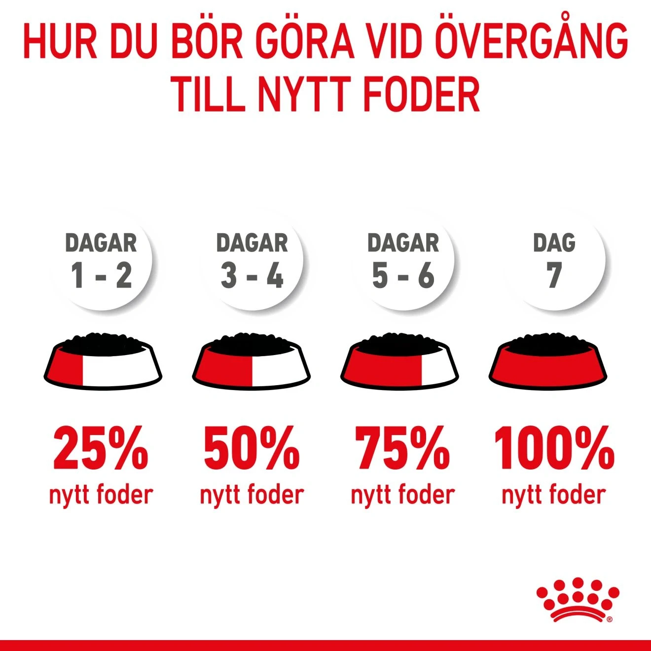 Royal Canin Kitten Sterilised Jelly Våtfoder 12x85 g Royal Canin