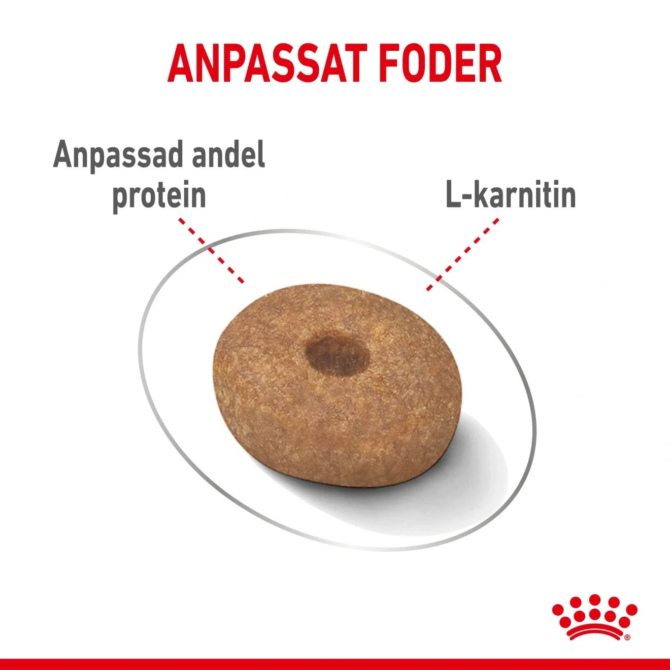 Royal Canin Light Weight Care Mini Dog 3 kg Royal Canin