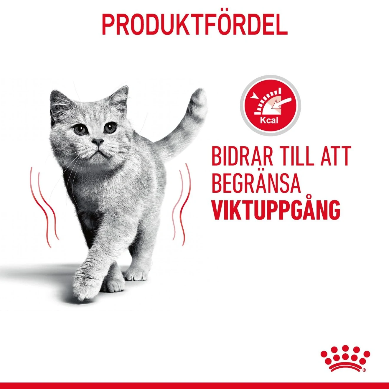 Royal Canin Light Weight Care Cat  1,5 kg Royal Canin