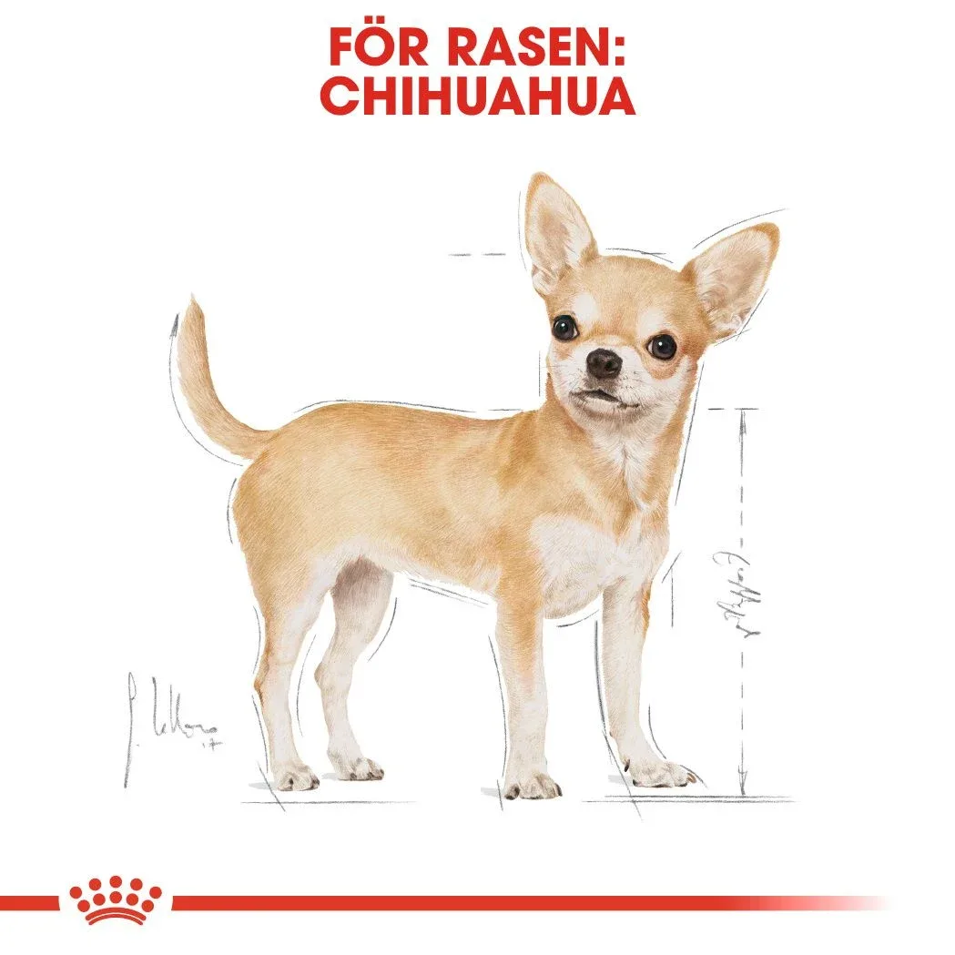 Royal Canin Digestive Care Loaf Dog Våtfoder 12x85 g Royal Canin