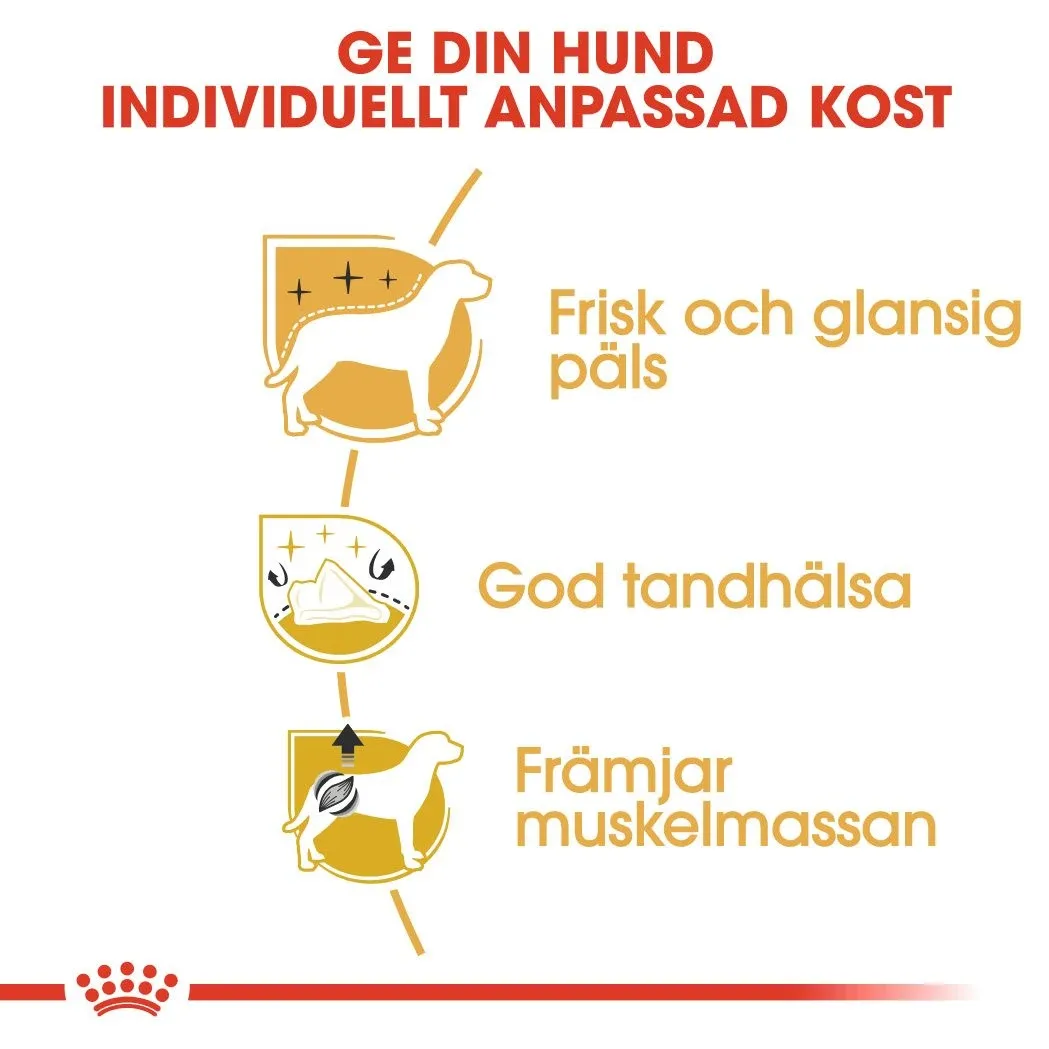 Royal Canin Poodle Adult 1,5 kg Royal Canin