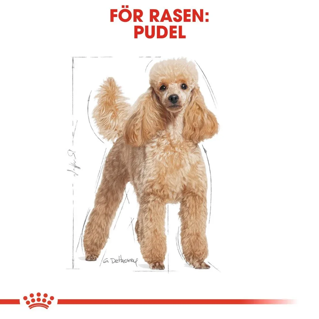 Royal Canin Poodle Adult 1,5 kg Royal Canin