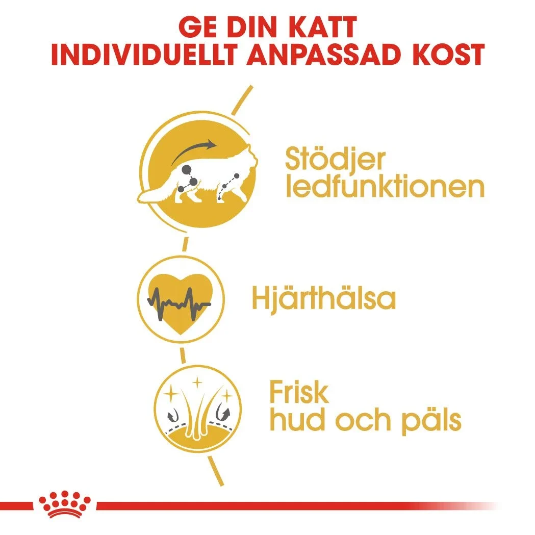 Royal Canin Maine Coon Adult  2 kg Royal Canin