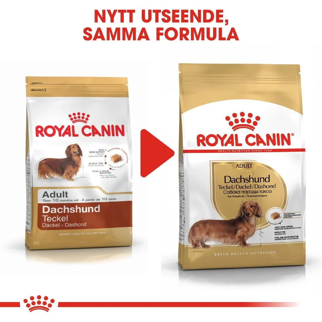 Royal Canin Dachshund Adult 1,5 kg Royal Canin